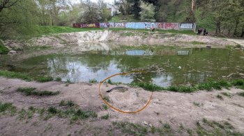 Шини та сміття: львів’яни просять прибрати ставок Зелене око