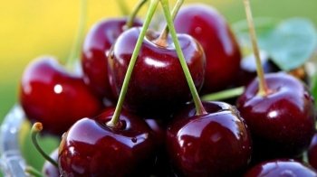 У Мелітополі російські окупанти та колаборанти не змогли поділили прибутки від врожаю черешень