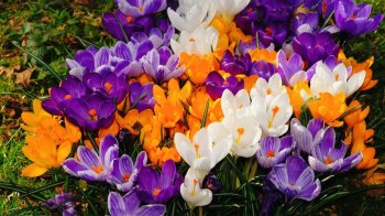 На Львівщині очікуються тумани: якою буде погода 17 березня