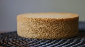 Смачно та легко: рецепт галицького медівника на пиві