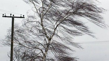 Майже 100 населених пункті Львівщини залишились без світла через негоду