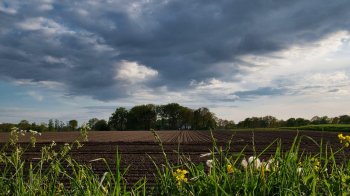 Тепло і хмарно: якою буде погода на Львівщині 20 травня