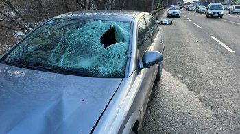 Мешканця Львівщини ув’язнили на 7 років за п’яну смертельну ДТП у Тернополі