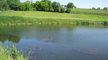 Трускавецькій громаді повернули ділянку зі ставком площею близько 7 га