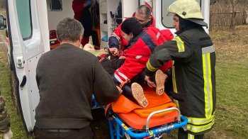 60-річна жінка, на яку у лісі на Дрогобиччині впало дерево, потрапила до лікарні