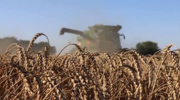 Два агропідприємства підозрюють у змовах на аукціонах з оренди землі на Львівщині