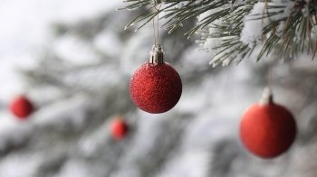 Як у Дрогобичі відзначатимуть Різдвяні свята: відповідь міськради