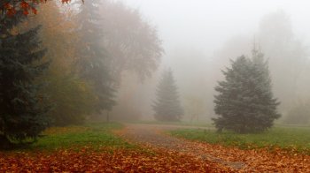 У Львові та області 9 листопада туман, дощ і обмеження видимості