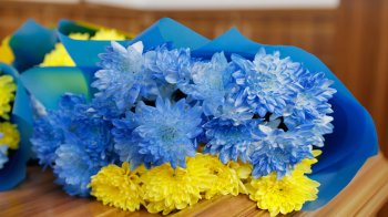 Львівщина 6 листопада попрощається з п’ятьма загиблими воїнами