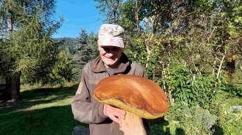 У Карпатах знайшли гриб-гігант вагою 3 кілограми (фото)