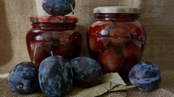 Сливи на зиму