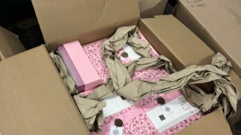 У “Шегинях” затримали мешканця Львівщини з контрабандою брендової косметики