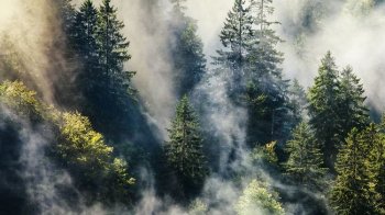 Туман та переважно без опадів: якою буде погода на Львівщині 19 травня