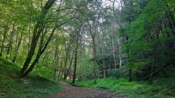 На Львівщині пона 2 тисячі гектарів заказника «Моршинський» вивели з мисливських угідь