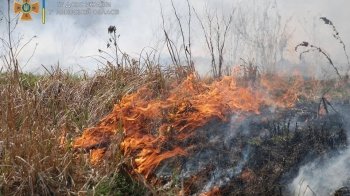 За добу на Львівщині 14 пожеж знищили 0.8 га землі