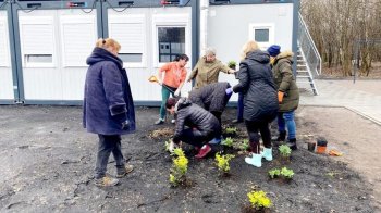 Висадили кущі, а потім будуть і грядки: у Львові жительки модульного містечка посадили квіти (фото)