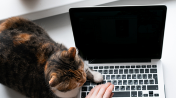 Робота вдома