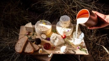 Можна порибалити та погладити кучерявих свинок: на Львівщині з’явилось ще одне фермерське господарство