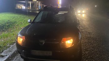 Біля Львова водій Dacia на смерть збив 65-річного пішохода
