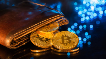 Які існують види криптовалютних гаманців: огляд доступних на ринку варіантів