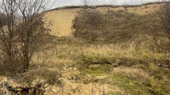 Порушник сплатив майже 50 тис. грн за незаконний забір піску біля лісу на Яворівщині