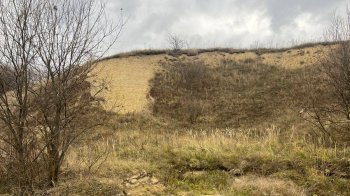 Вкрав піску на 48 тисяч гривень — на Яворівщині порушник компенсував збитки