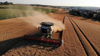 Як підрив Каховської ГЕС вплине на аграрний сектор Львівщини — пояснення ОВА та фермерів
