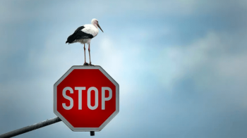 Які компанії залишились працювати у Росії