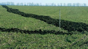 Суд повернув у державну власність дві земельні ділянки для потреб оборони на Стрийщині
