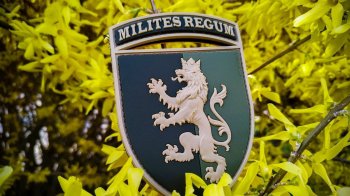 Зеленський відзначив королівську бригаду зі Львова: деталі