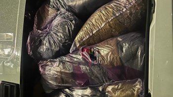 Львівські митники затримали контрабандну косметику вартістю понад 3 млн грн