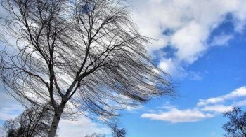Прогноз погоди: сильний вітер у Львові та області 27–29 жовтня