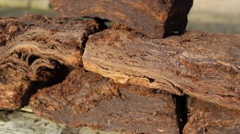 За змову на тендері з продажу ділянки торфу біля Львова оштрафували двох учасників