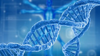 Дослідження почалися, коли їй виповнилося 65