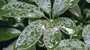 Грози та шквали: якою буде погода на Львівщині 30 липня