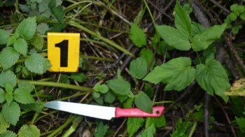 Чоловіку загрожує ув’язнення на строк від семи до п’ятнадцяти років