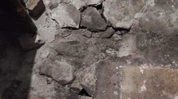 Вологість, аварійний стан сходів та підлоги: в мережі показали, як виглядає старий будинок в центрі Львова