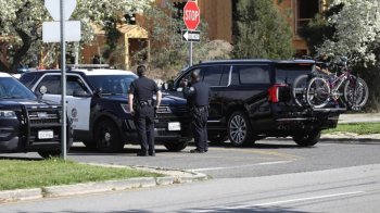 Арнольд Шварцнеггер потрапив у ДТП та збив велосипедистку: пообіцяв поремонтувати двоколісного