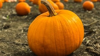 26 жовтня: церковні свята, іменинники, прикмети та що не можна робити