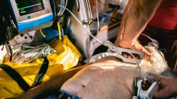 Біля Львова Mercedes на смерть збив 80-річного велосипедиста