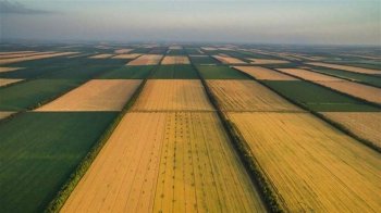 Суд розірвав договір на оренду близько 60 га землі між підприємством та громадою на Львівщині