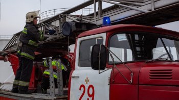 Поблизу Львова рятувальники витягнули собаку, що перебував у каналізації 4 дні