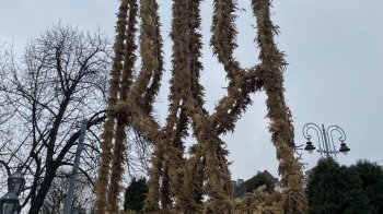 У Львові десантники 80-ї ОДШБр презентували найбільший в Україні Тризуб із дідухів