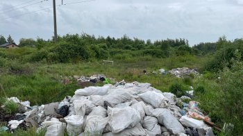 У селі біля Львова невідомі викинули будівельне сміття та пластик