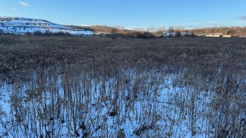 Ділянка біля Грибовицького сміттєзвалища, на якій планують будівництво