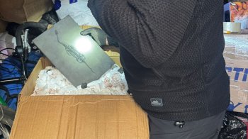 У Львові в дохід держави конфіскували скам’янілий скелет рептилії