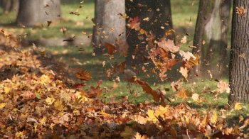 На Львівщині синоптики прогнозують 4 листопада сильний вітер та ожеледицю