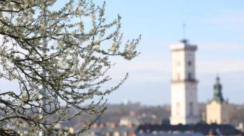 Заморозки та туман вранці: прогноз погоди на Львівщині на 28 квітня