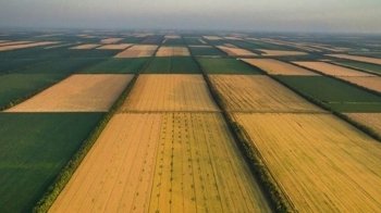 На Львівщині додатково залучили для обробки понад 550 га землі