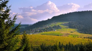 Селищу на Самбірщині повернули земельну ділянку площею понад 10 га